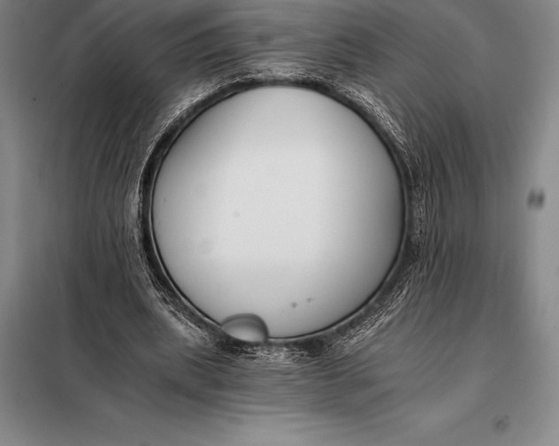 X0000098140439200805011347
