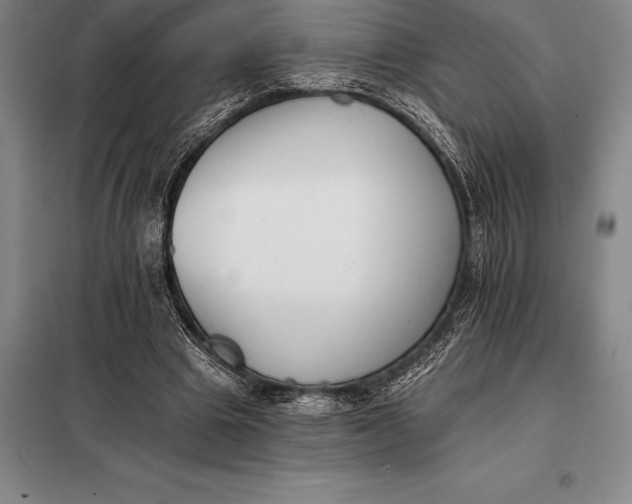 X0000098140441200805011347
