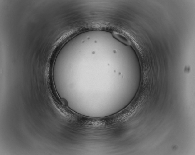 X0000098140443200805011347