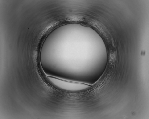 X0000098140444200805011348