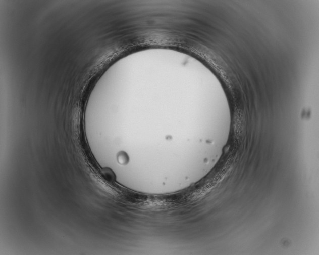 X0000098140445200805011348