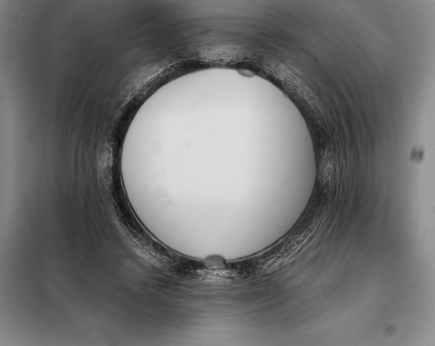X0000098140448200805011348