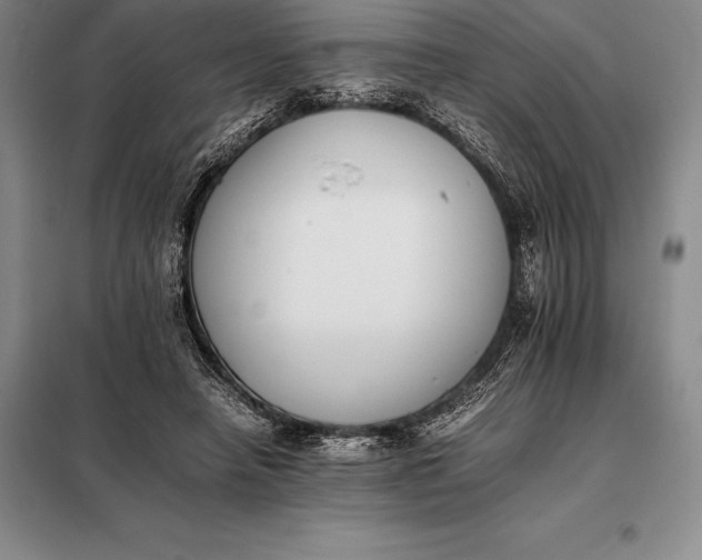 X0000098140450200805011348