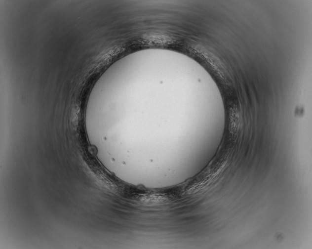X0000098140451200805011348