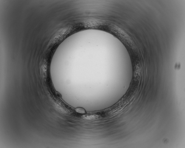 X0000098140452200805011348