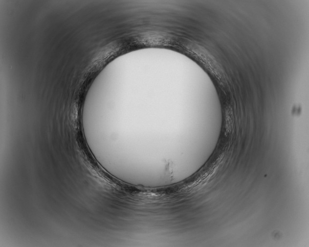 X0000098140453200805011348