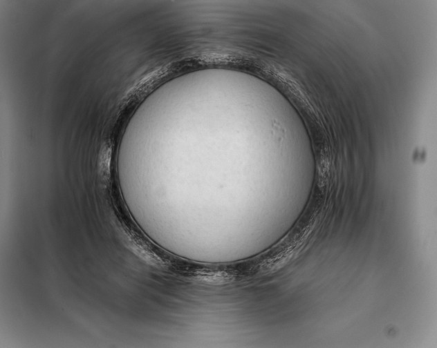 X0000098140454200805011348