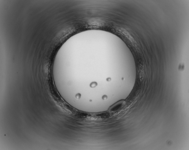 X0000098140455200805011348