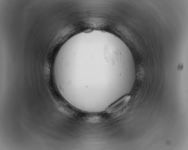 X0000098140456200805011348