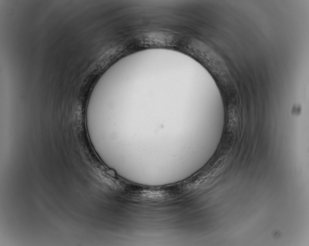 X0000098140457200805011348