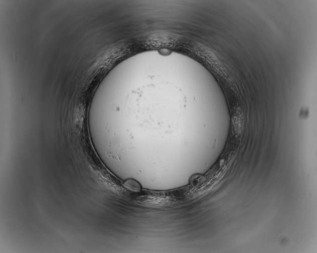 X0000098140458200805011348