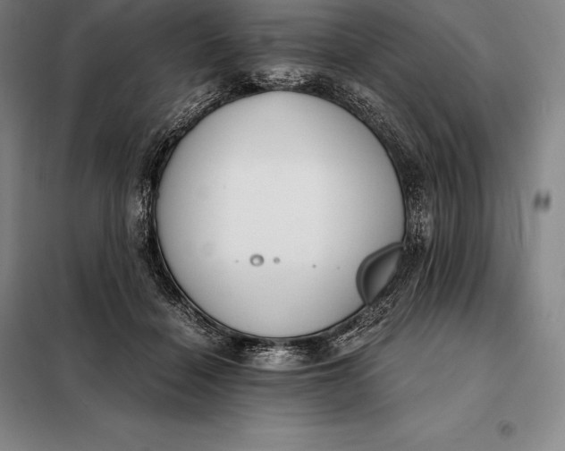 X0000098140460200805011348