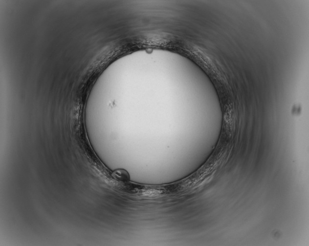 X0000098140462200805011348