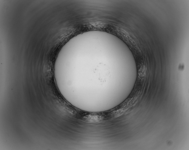 X0000098140464200805011348