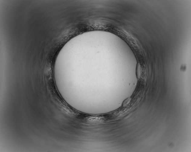X0000098140465200805011348