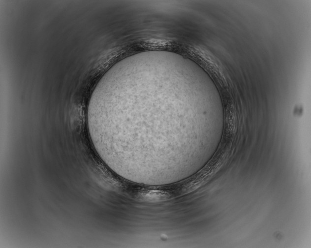 X0000098140467200805011348