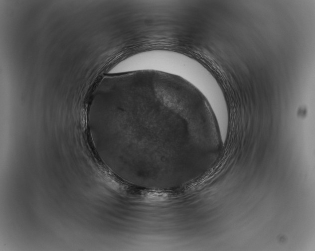 X0000098140471200805011348