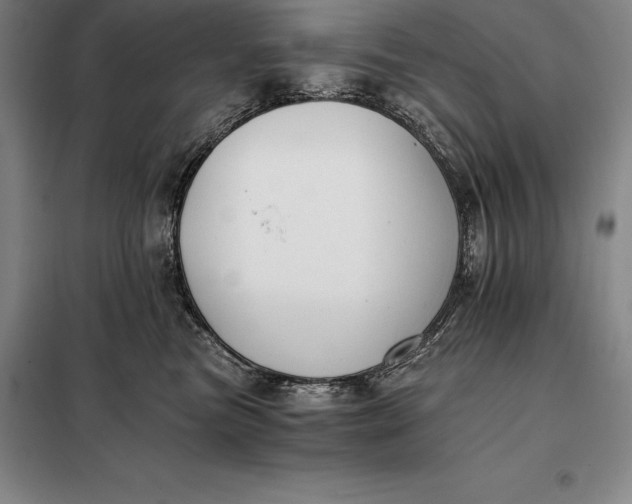 X0000098140473200805011348