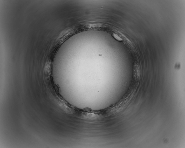 X0000098140475200805011348