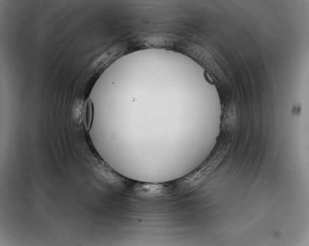 X0000098140478200805011348