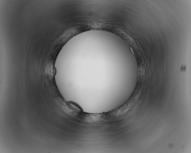 X0000098140479200805011348