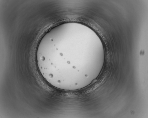 X0000098140481200805011347