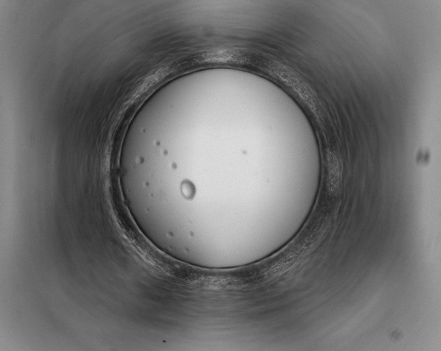 X0000098140482200805011347