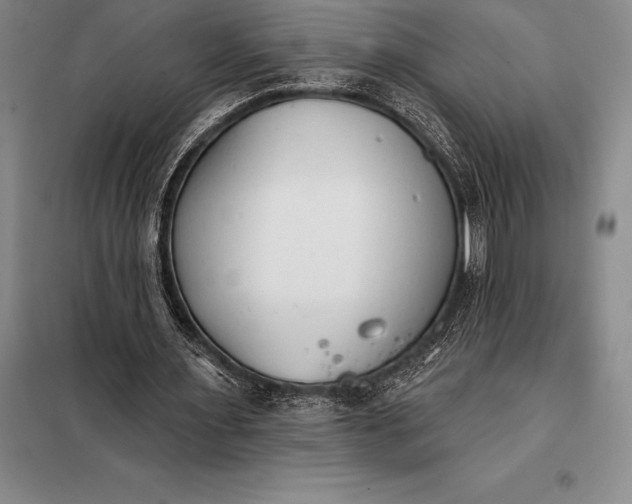 X0000098140483200805011347
