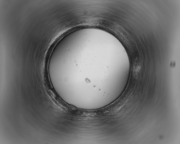 X0000098140484200805011347
