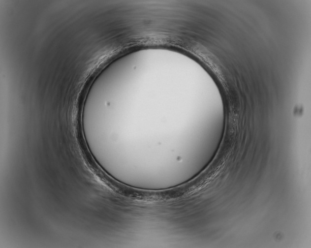 X0000098140485200805011347