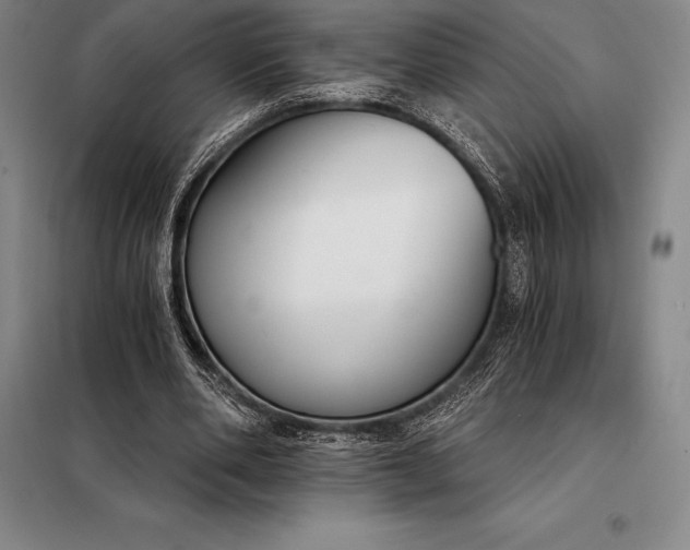 X0000098140486200805011347