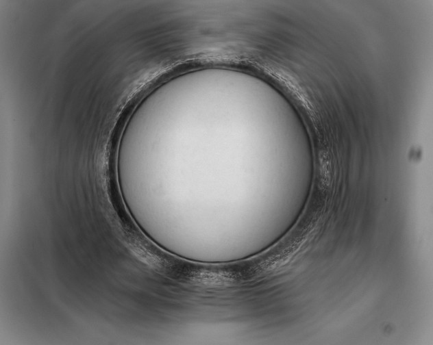 X0000098140487200805011347
