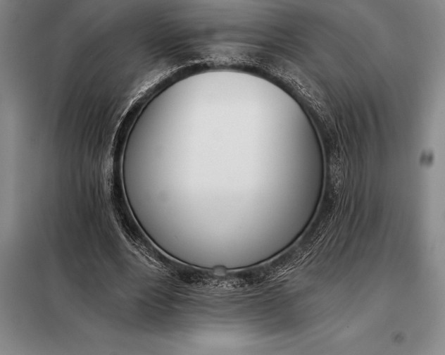 X0000098140488200805011347