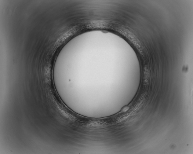 X0000098140489200805011347