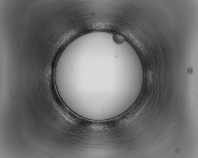 X0000098140490200805011347