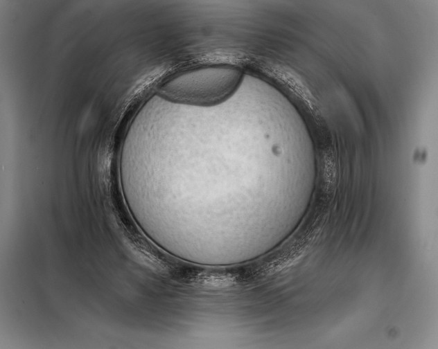 X0000098140491200805011347