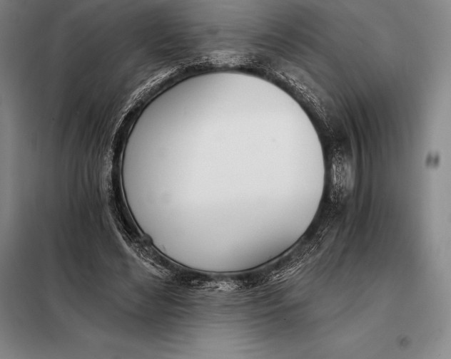 X0000098140492200805011347