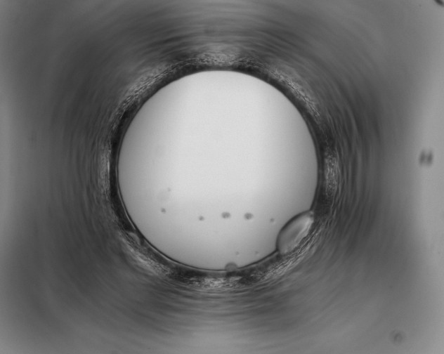 X0000098140493200805011347