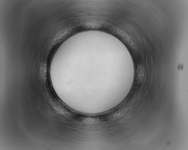 X0000098140494200805011347