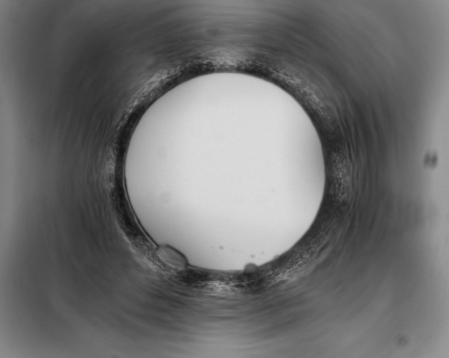 X0000098140496200805011347