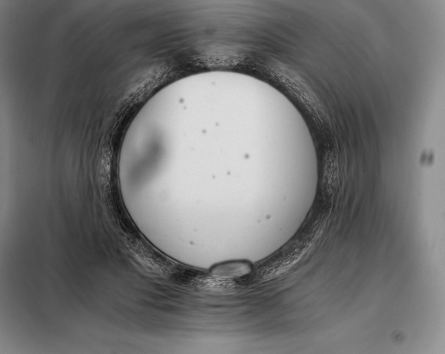 X0000098140501200805011347