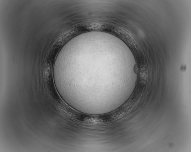 X0000098140503200805011347
