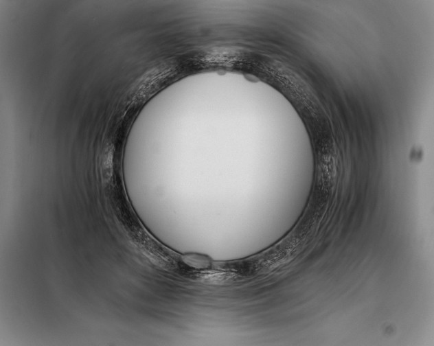 X0000098140504200805011347
