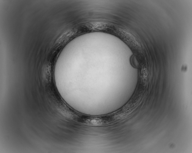 X0000098140506200805011347