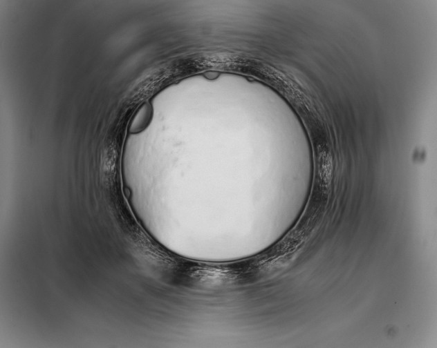 X0000098140507200805011347