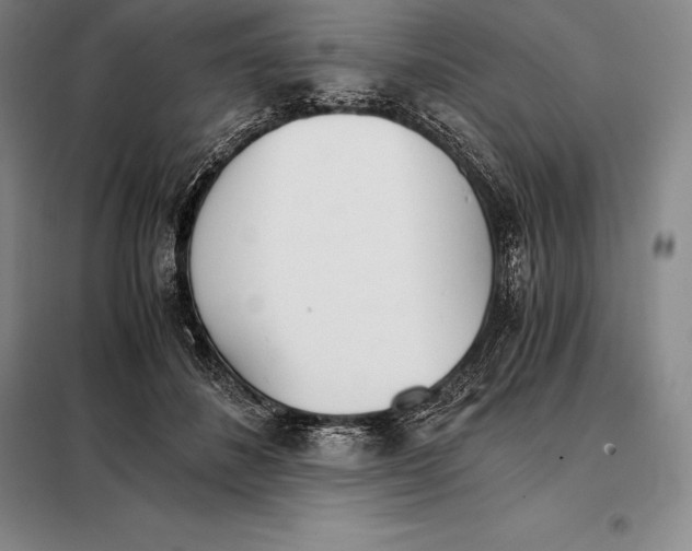 X0000098140508200805011347