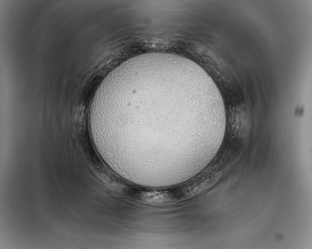 X0000098140511200805011347