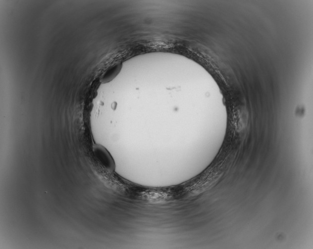 X0000098140512200805011347