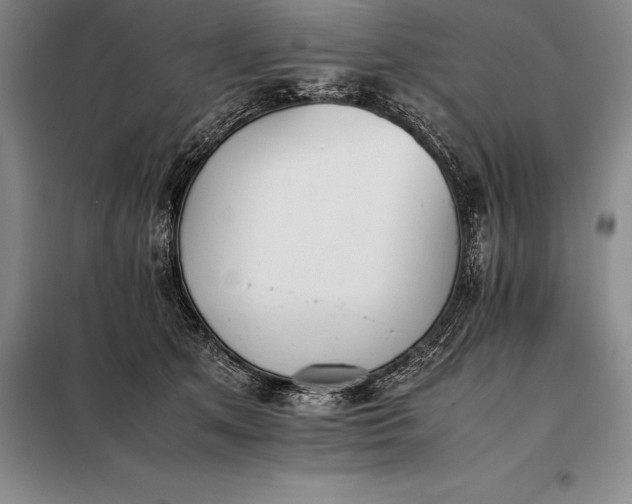 X0000098140513200805011347