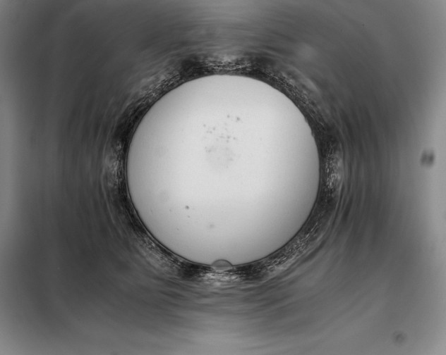 X0000098140515200805011347